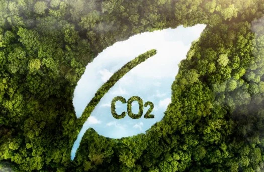 Karbon Ayak izi azaltma yöntemleri nelerdir